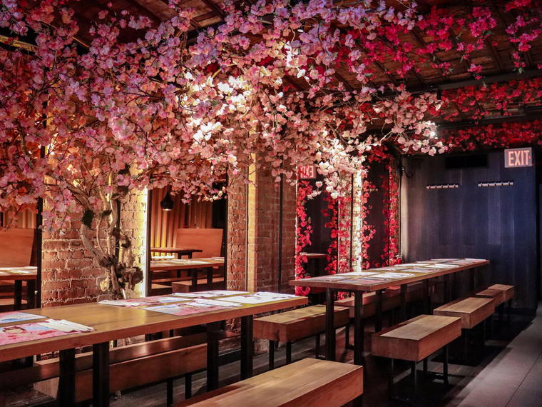 Wagamama, New York City, United States
