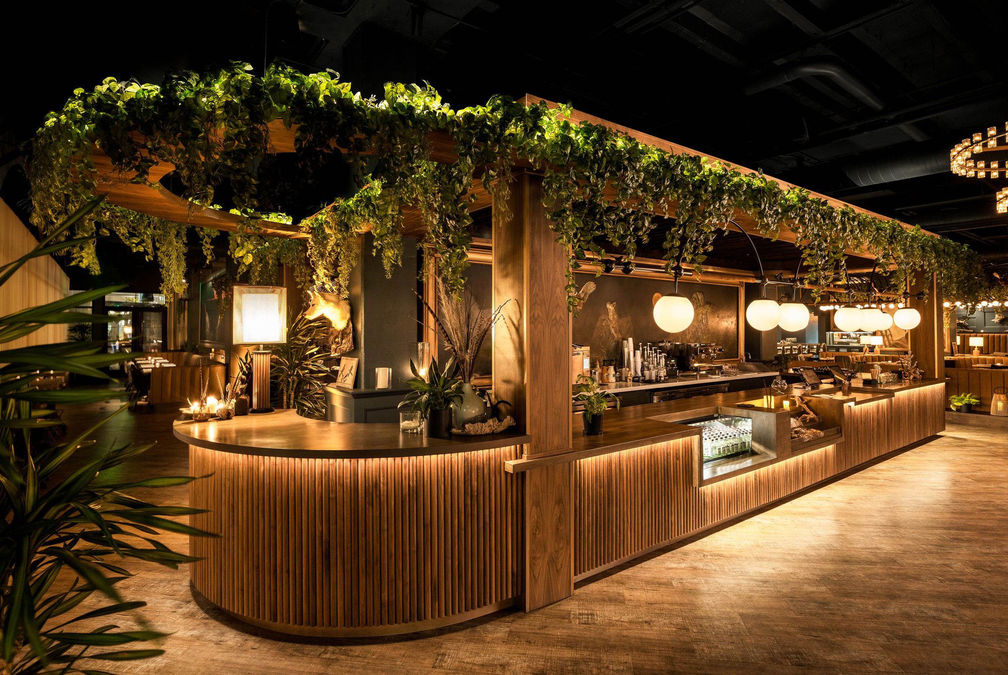 Wren & Wolf restaurant in Phoenix, United States