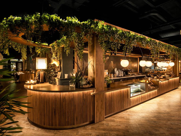 Wren & Wolf, Phoenix, United States