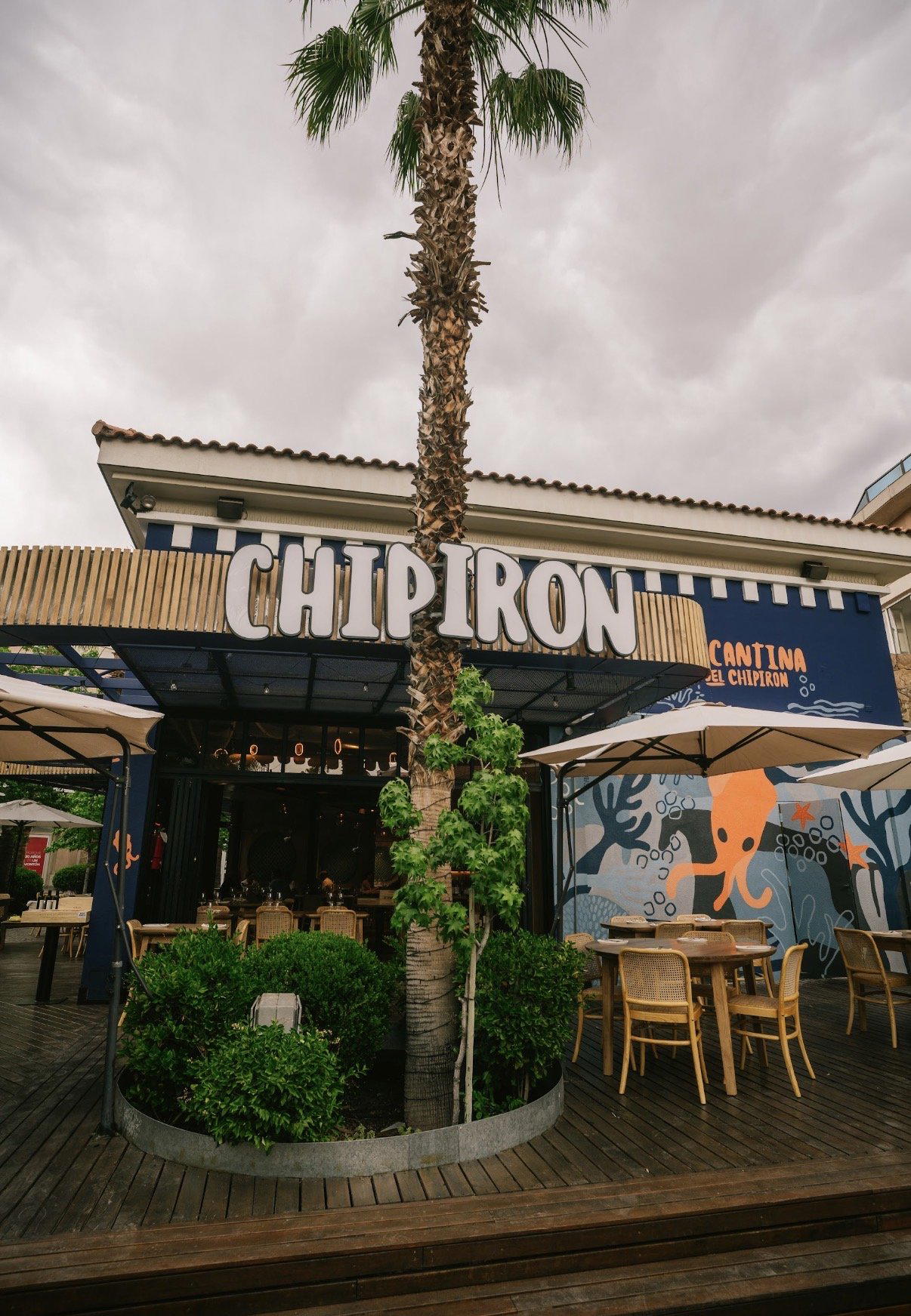 Chipirón, Mendoza, Argentina