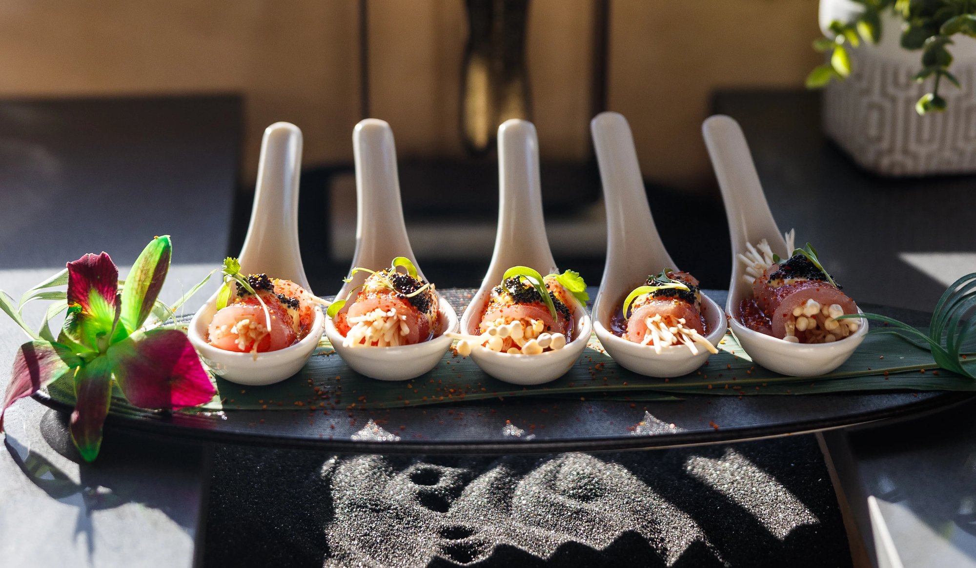 Hoshi & Sushi Thai Cuisine restaurant in Hollywood, United States