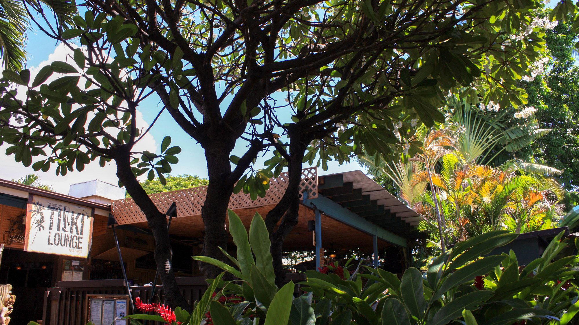 South Shore Tiki Lounge restaurant in Kihei, United States