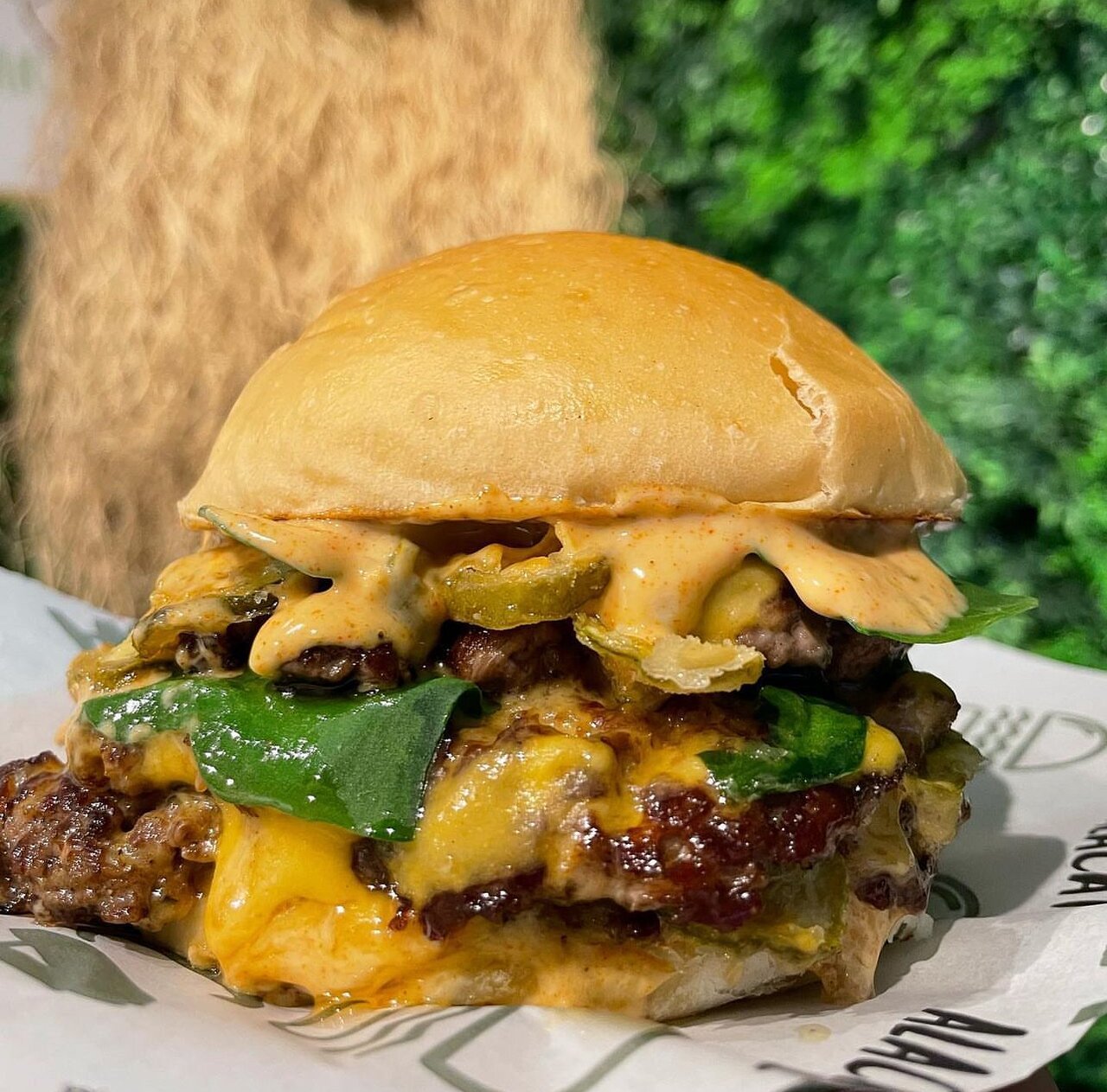 Arca Alacati restaurant in Dusseldorf, Germany