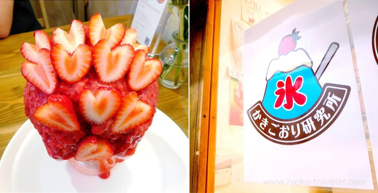 Kakigori Laboratory, Restaurant in Osaka
