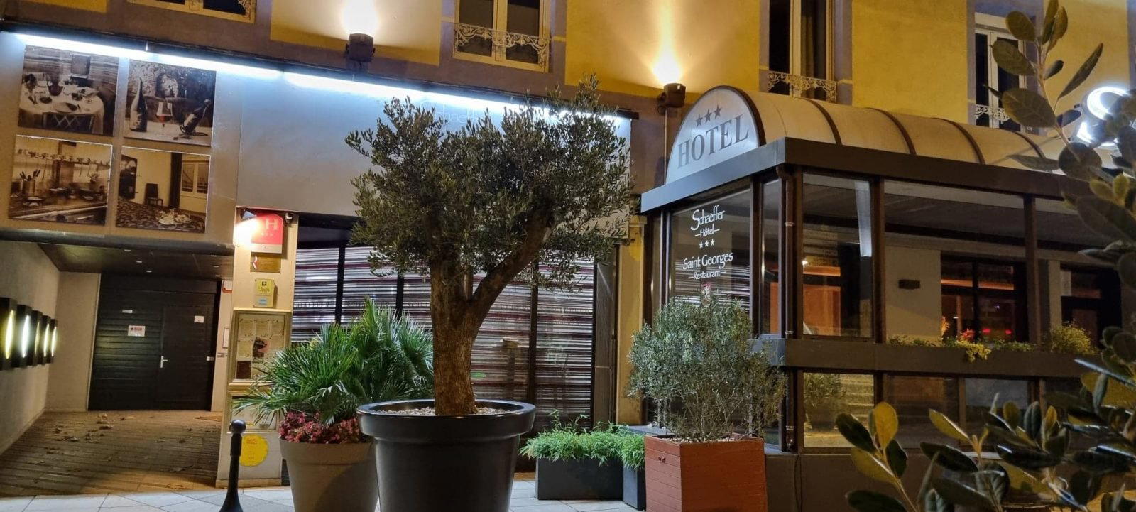 Le St Georges restaurant in Serrieres, France