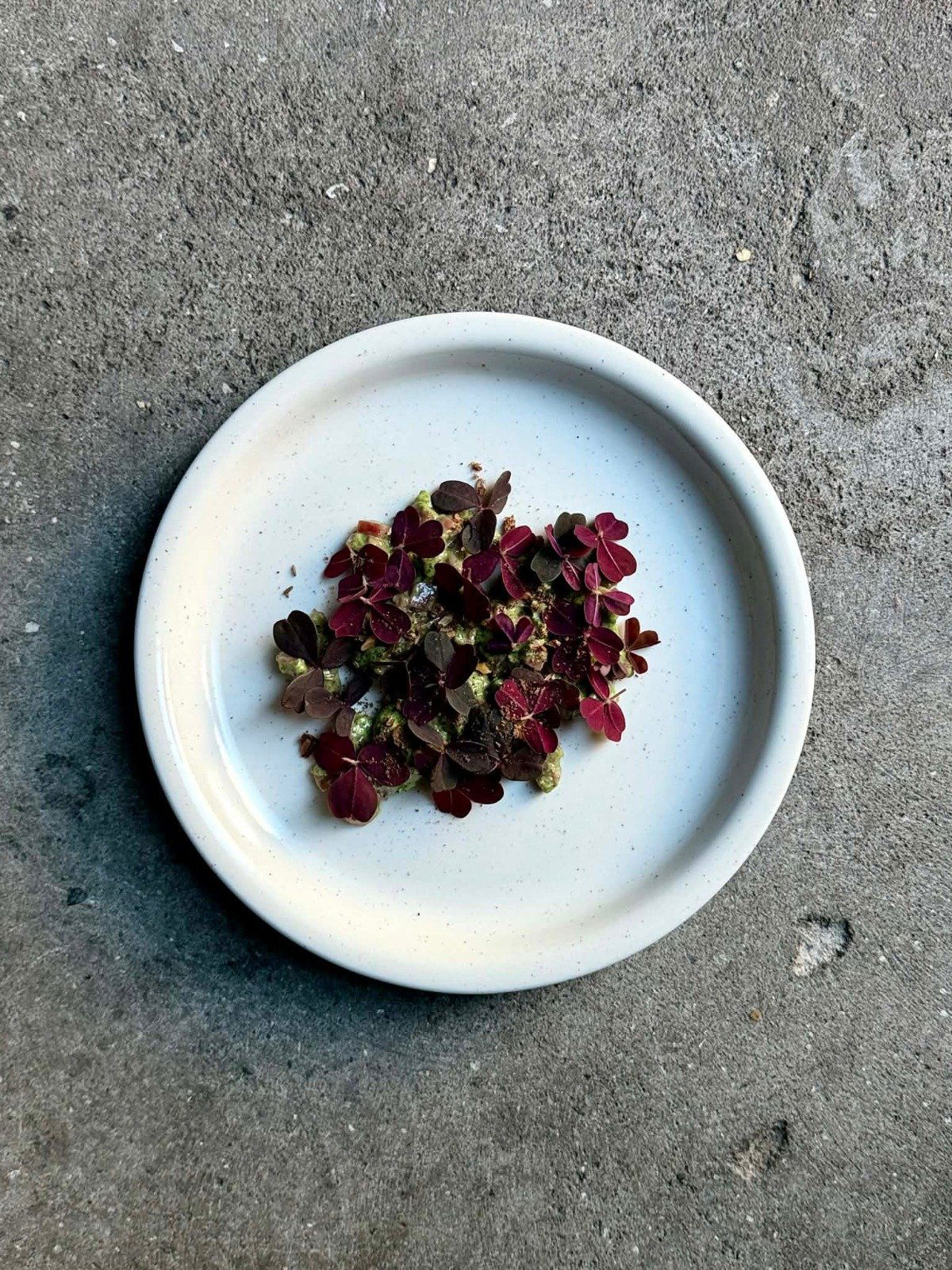 Momenta, Restaurant in Copenhagen