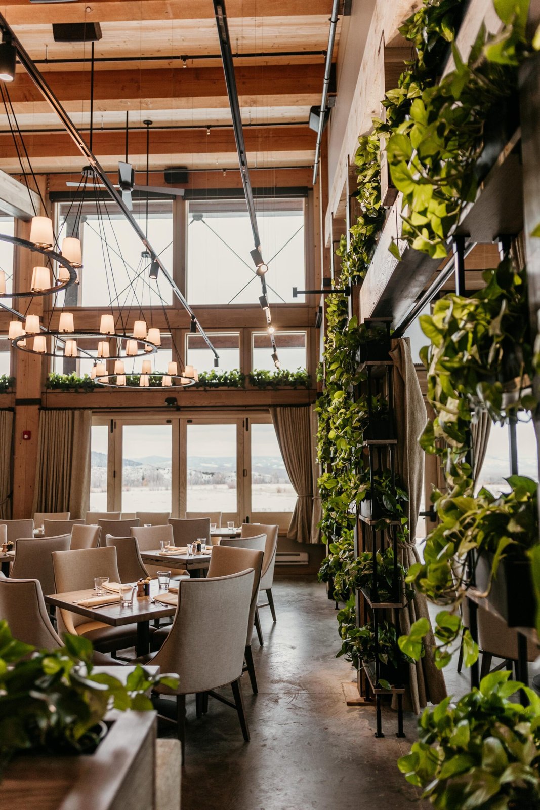 Pioneer Kitchen