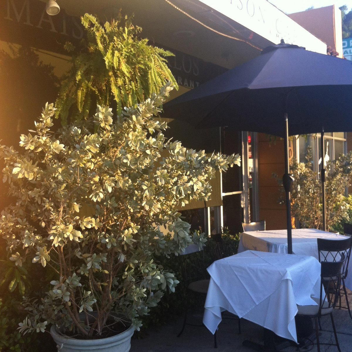 Maison Carlos restaurant in West Palm Beach, United States