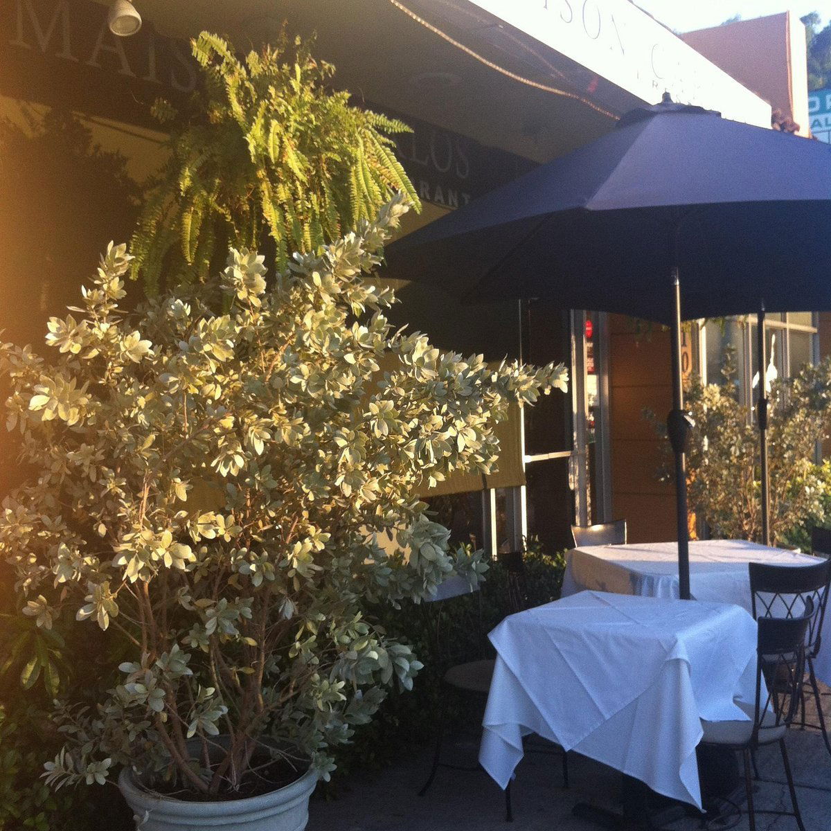 Maison Carlos, Restaurant in West Palm Beach