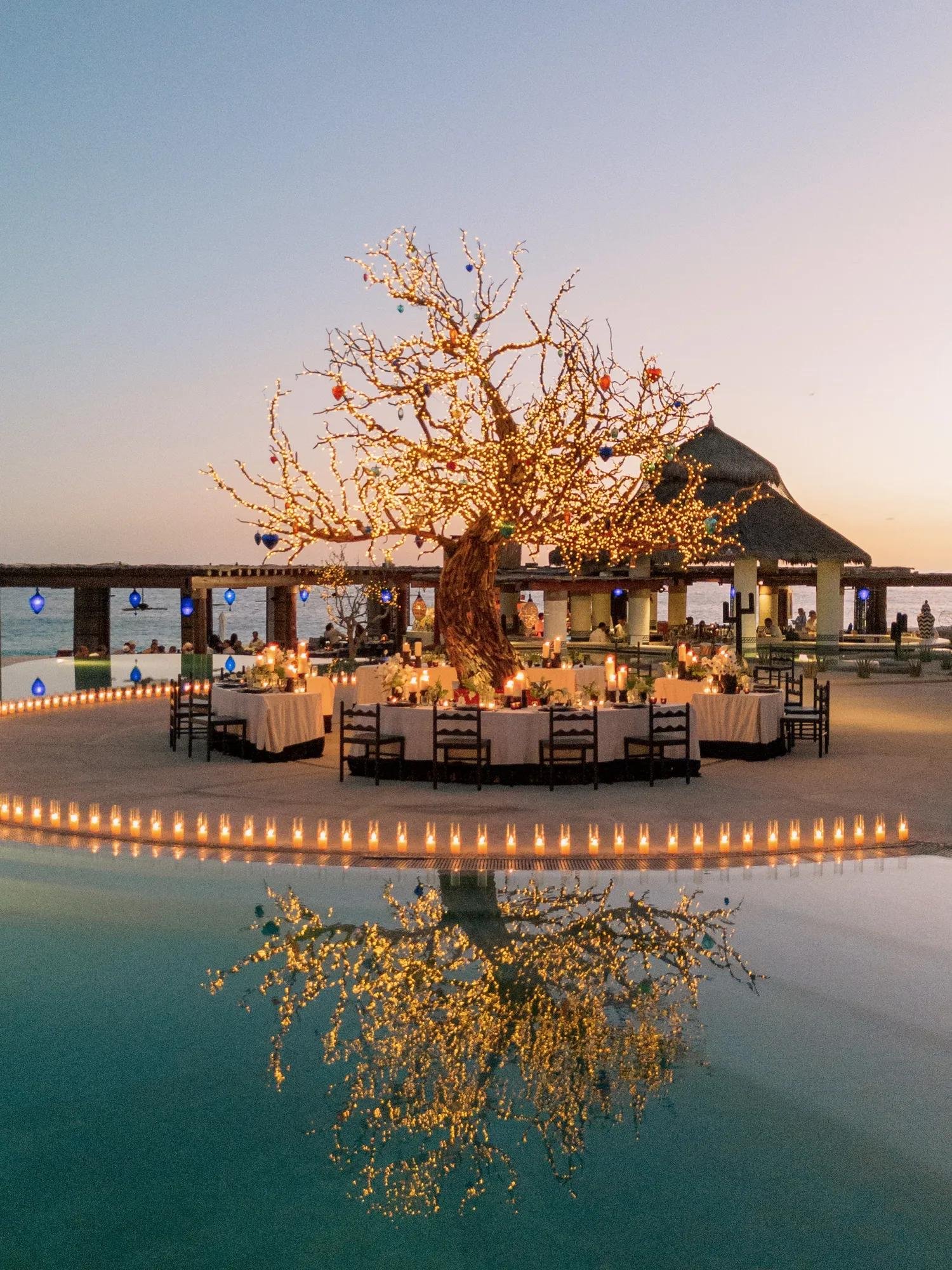 Alebrije, Restaurant in Los Cabos