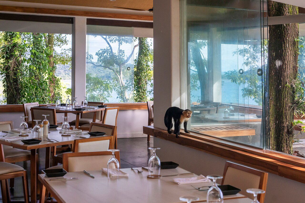 Mirador, Restaurant in Tulum