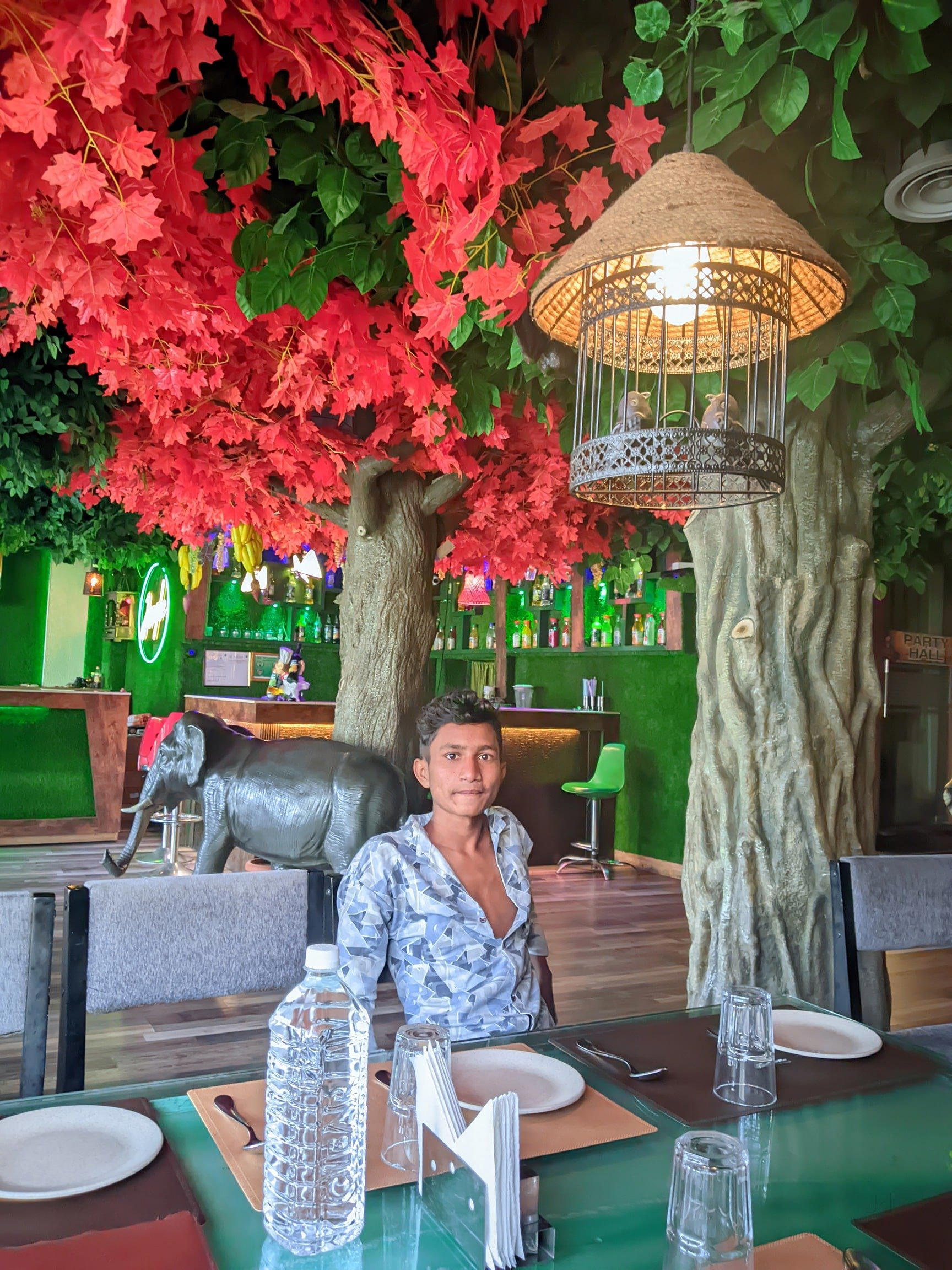 Jungle restaurant restaurant in Nawada, India