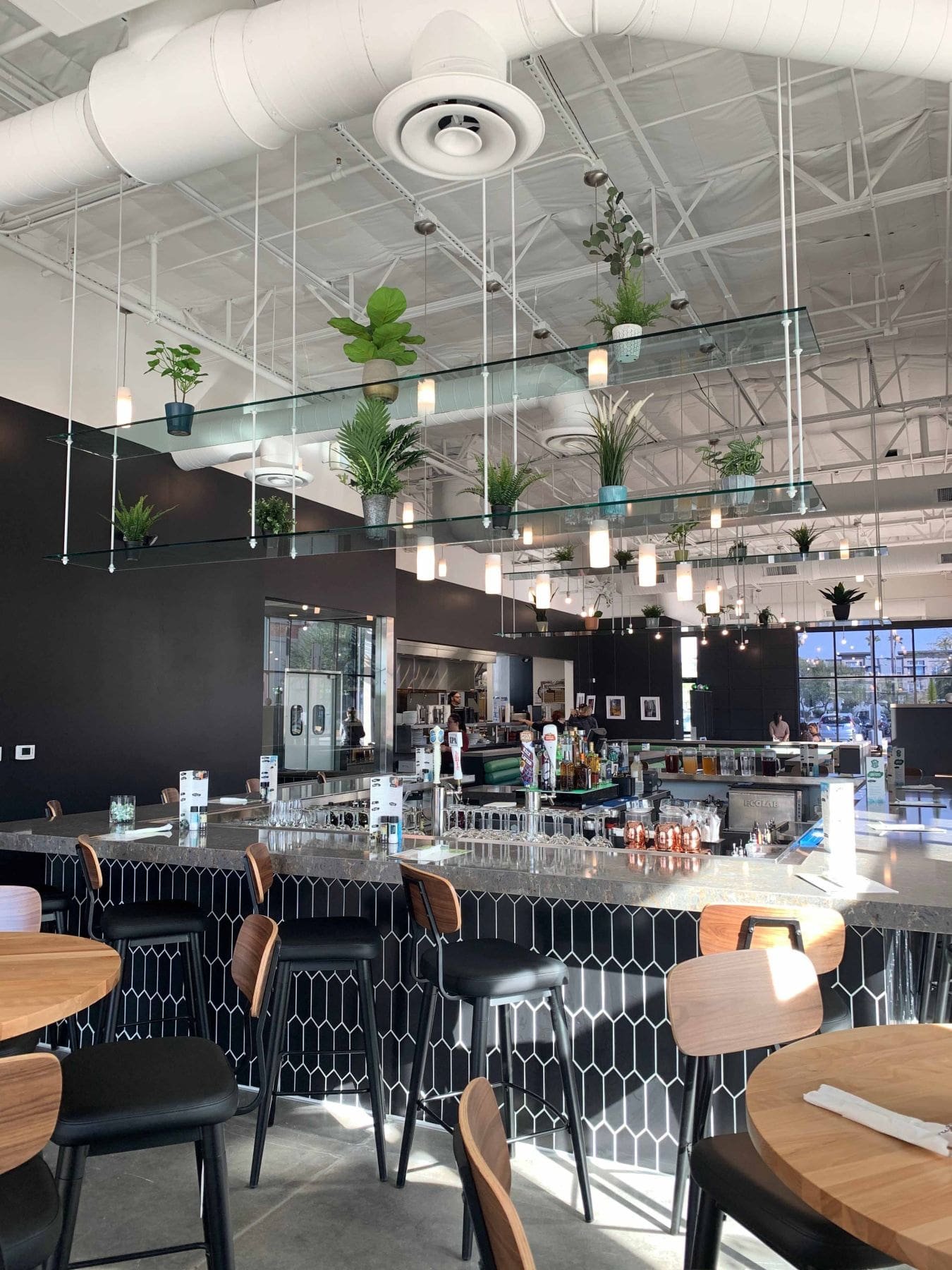 Pita Jungle