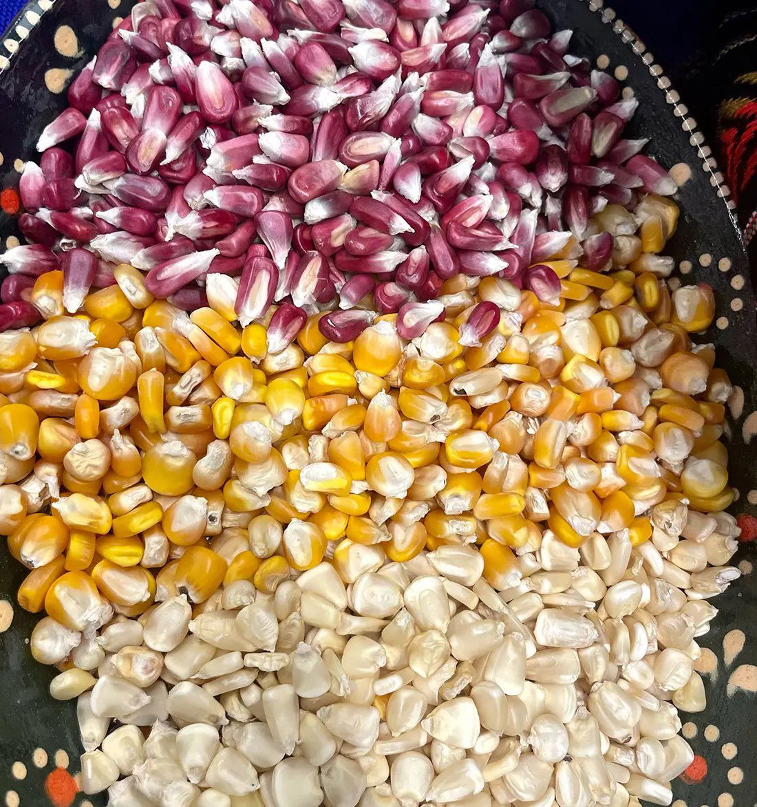 Maize, Restaurant in Denver