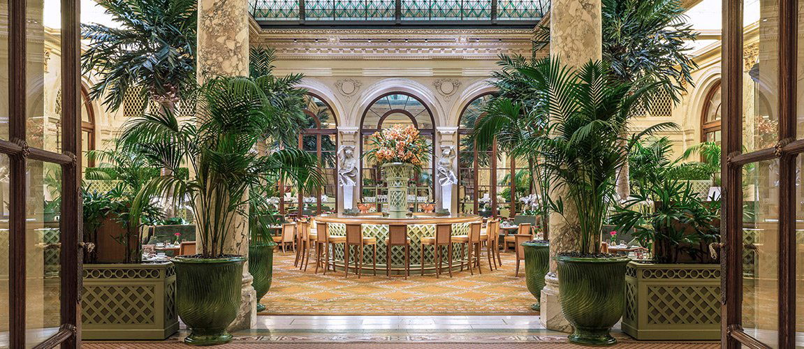 The Palm Court, Restaurant in New York City