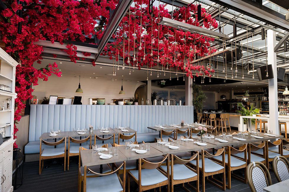 NODO restaurant in Toronto, Canada