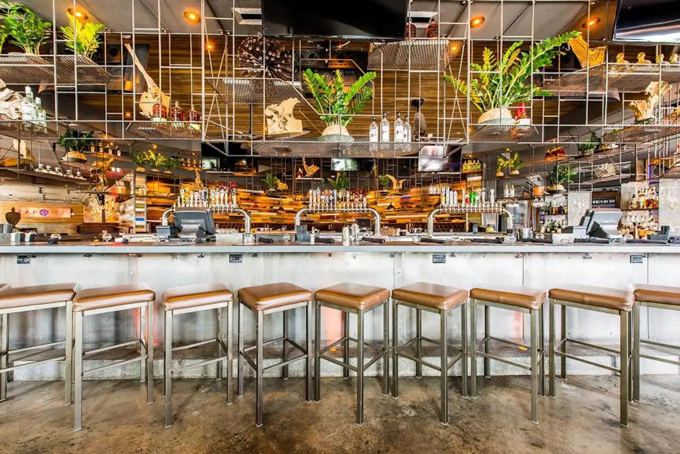 Tap 42- Coral Gables restaurant in Coral Gables, United States