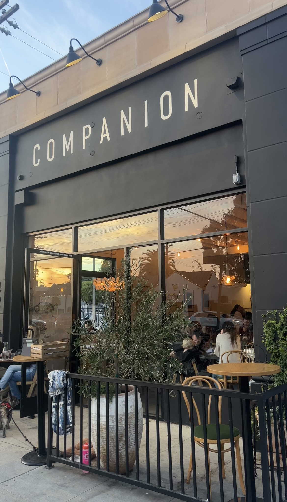companion, Los Angeles, United States
