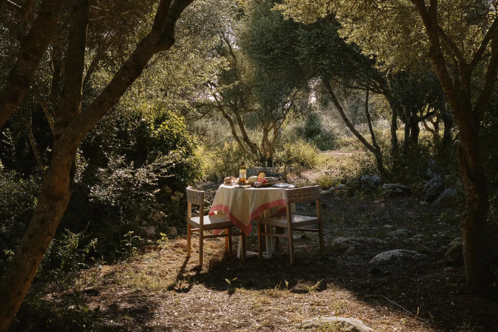 El Olivar