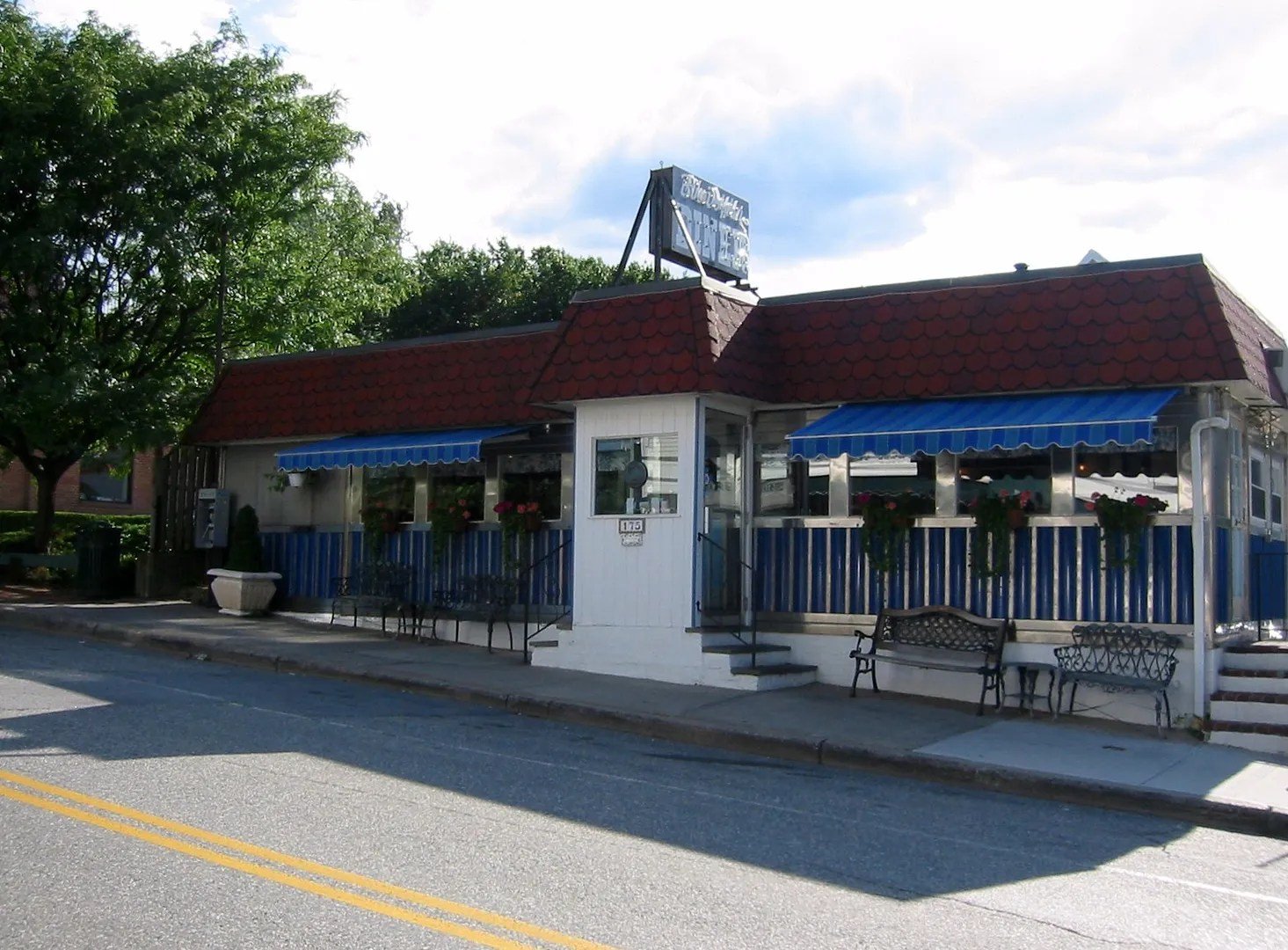 Blue Dolphin
