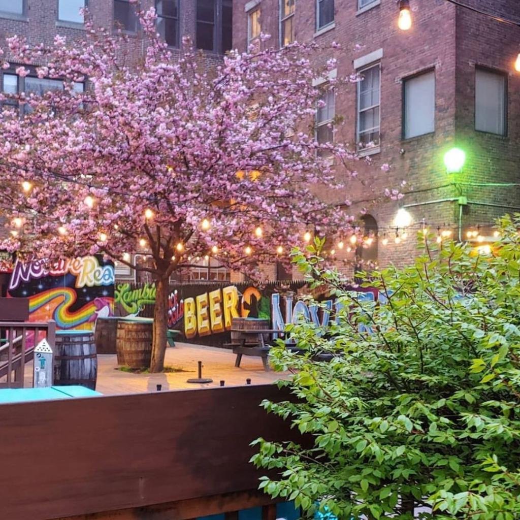 Novare Res Bier Cafe, Restaurant in Portland