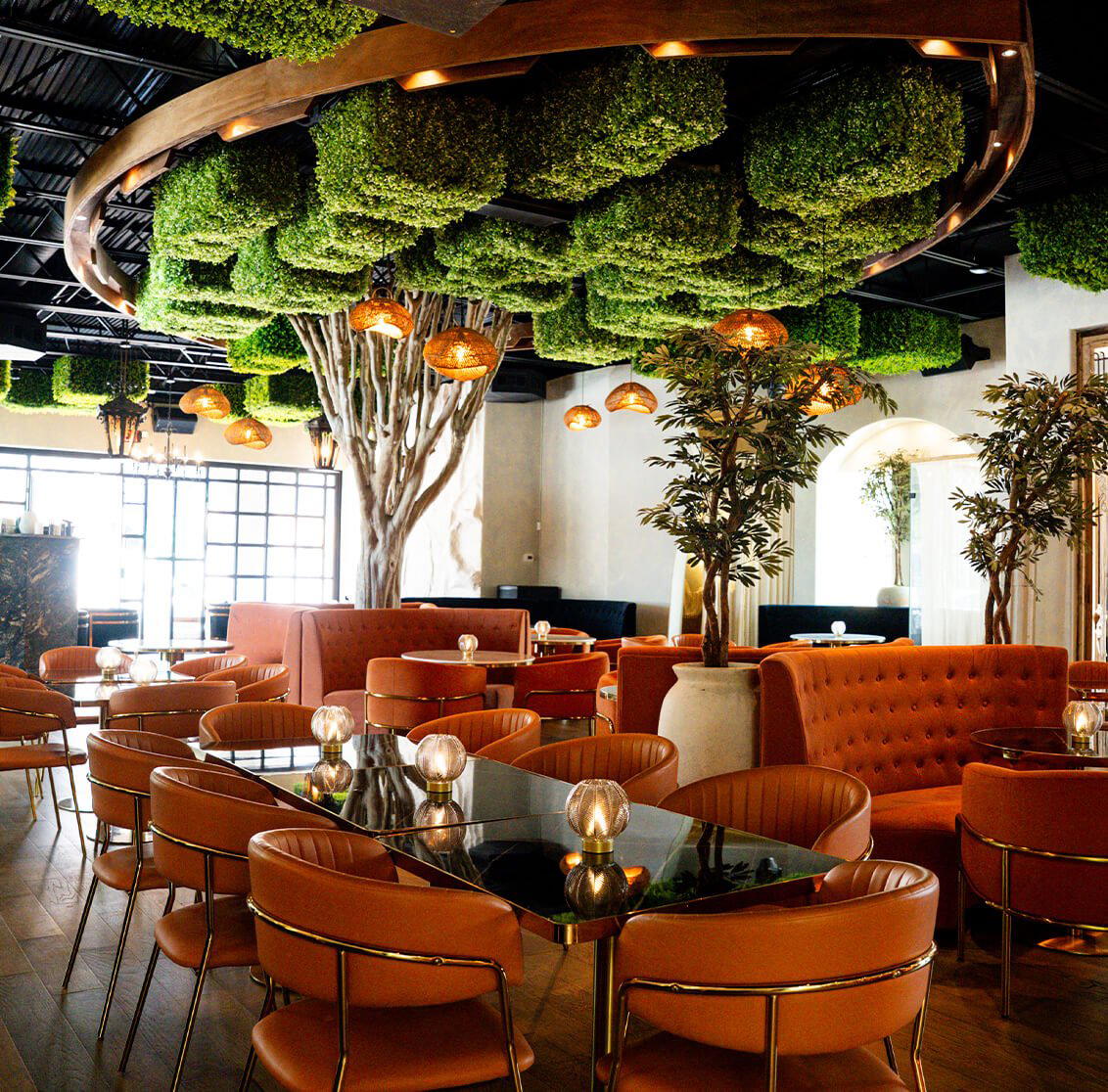 Toga restaurant in Houston, United States