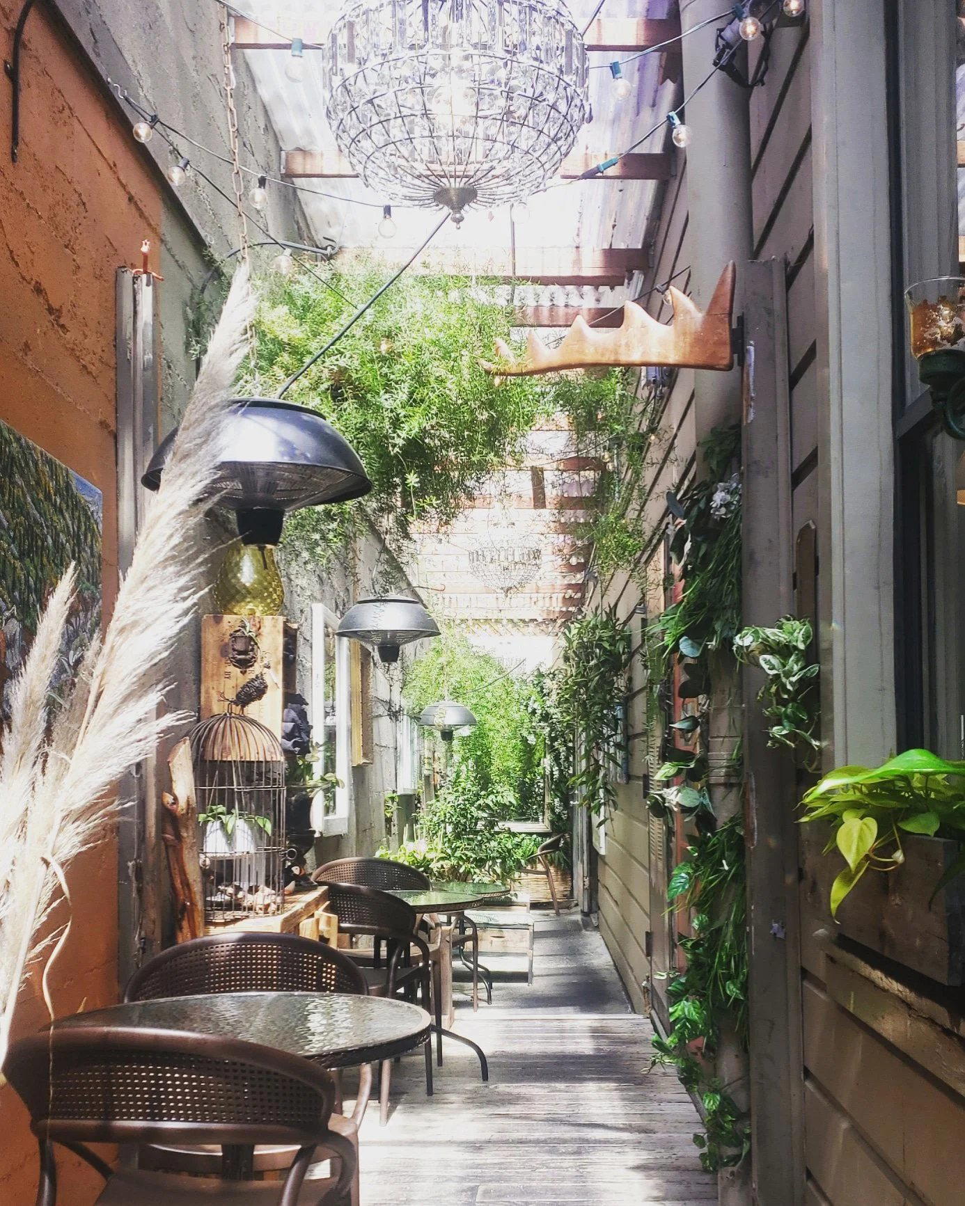 The Fly Trap restaurant in San Francisco, United States
