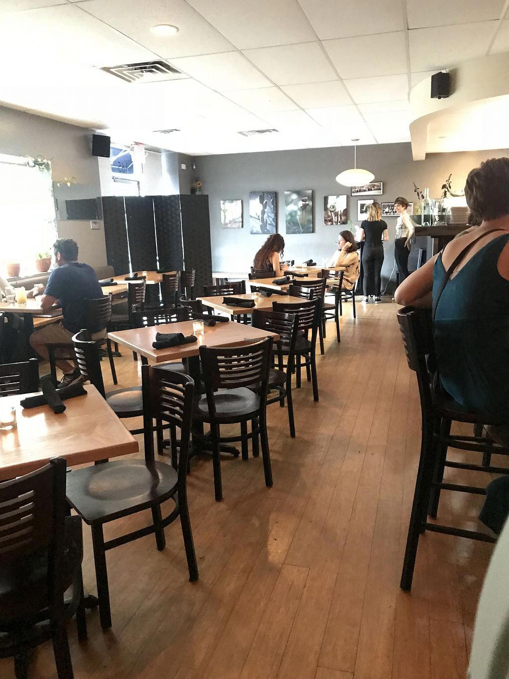 plant restaurant in Asheville, United States