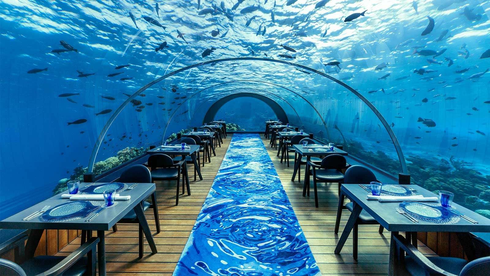 Sea Underwater Restaurant, Maldives, Maldives