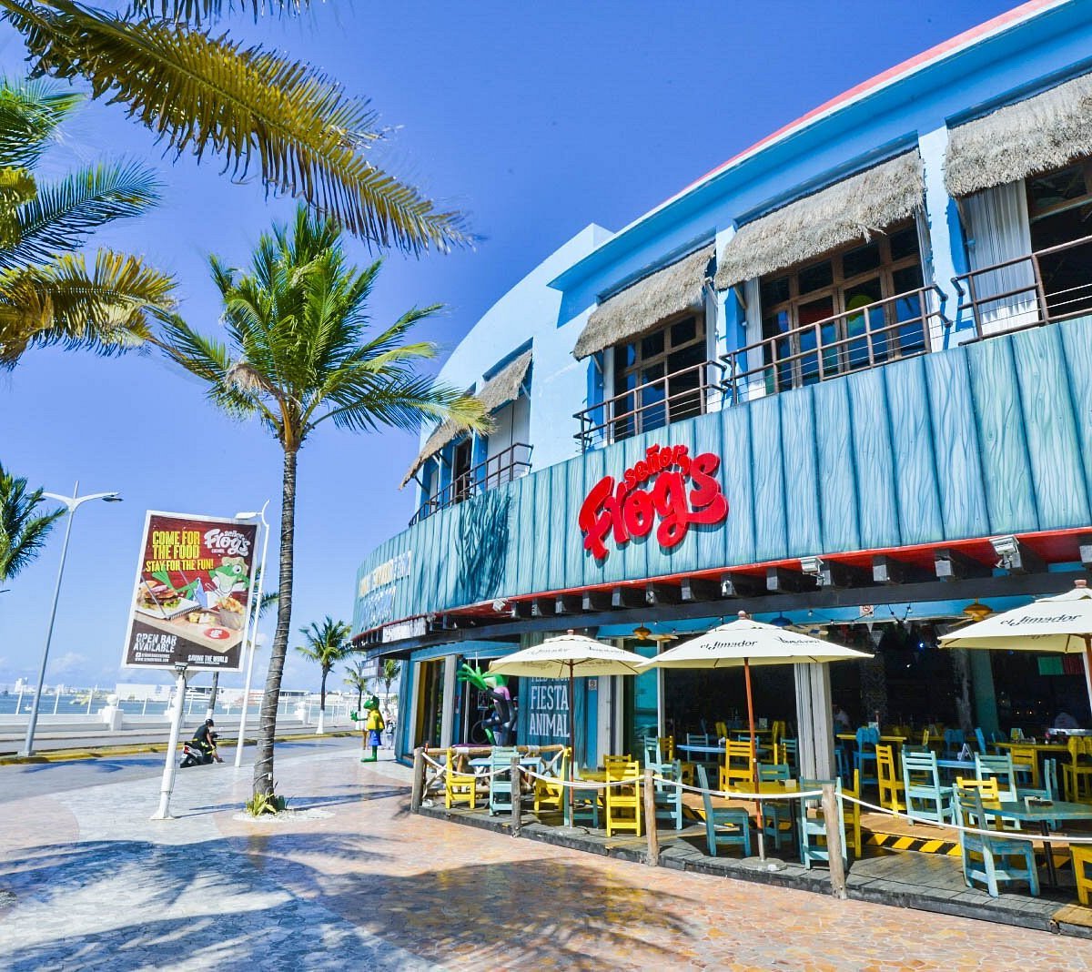 Señor Frog´s - Cozumel, Restaurant in Cozumel