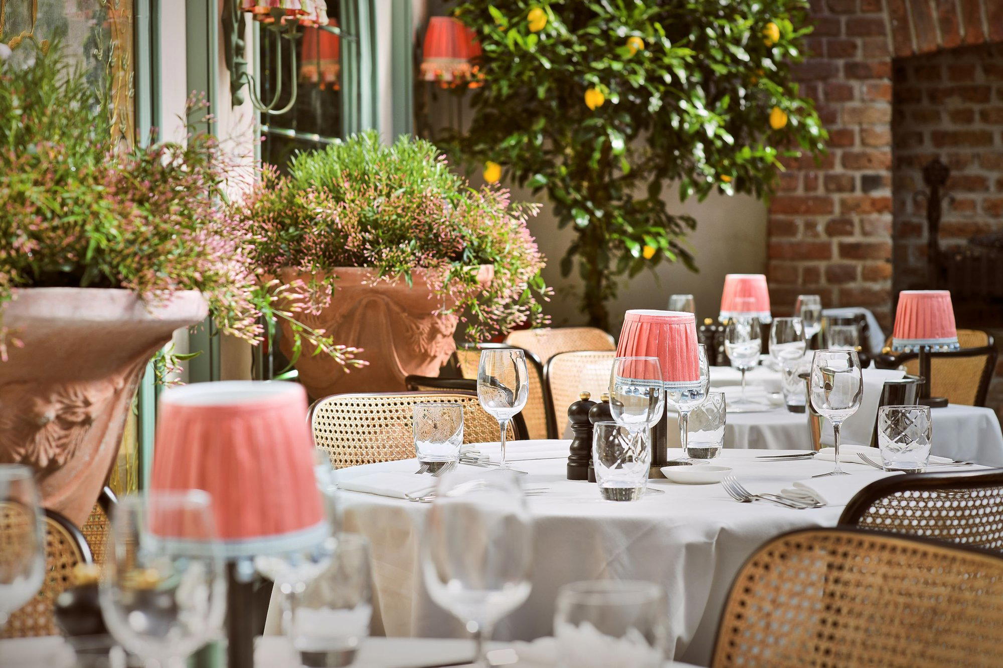 Daphne restaurant in London, United Kingdom