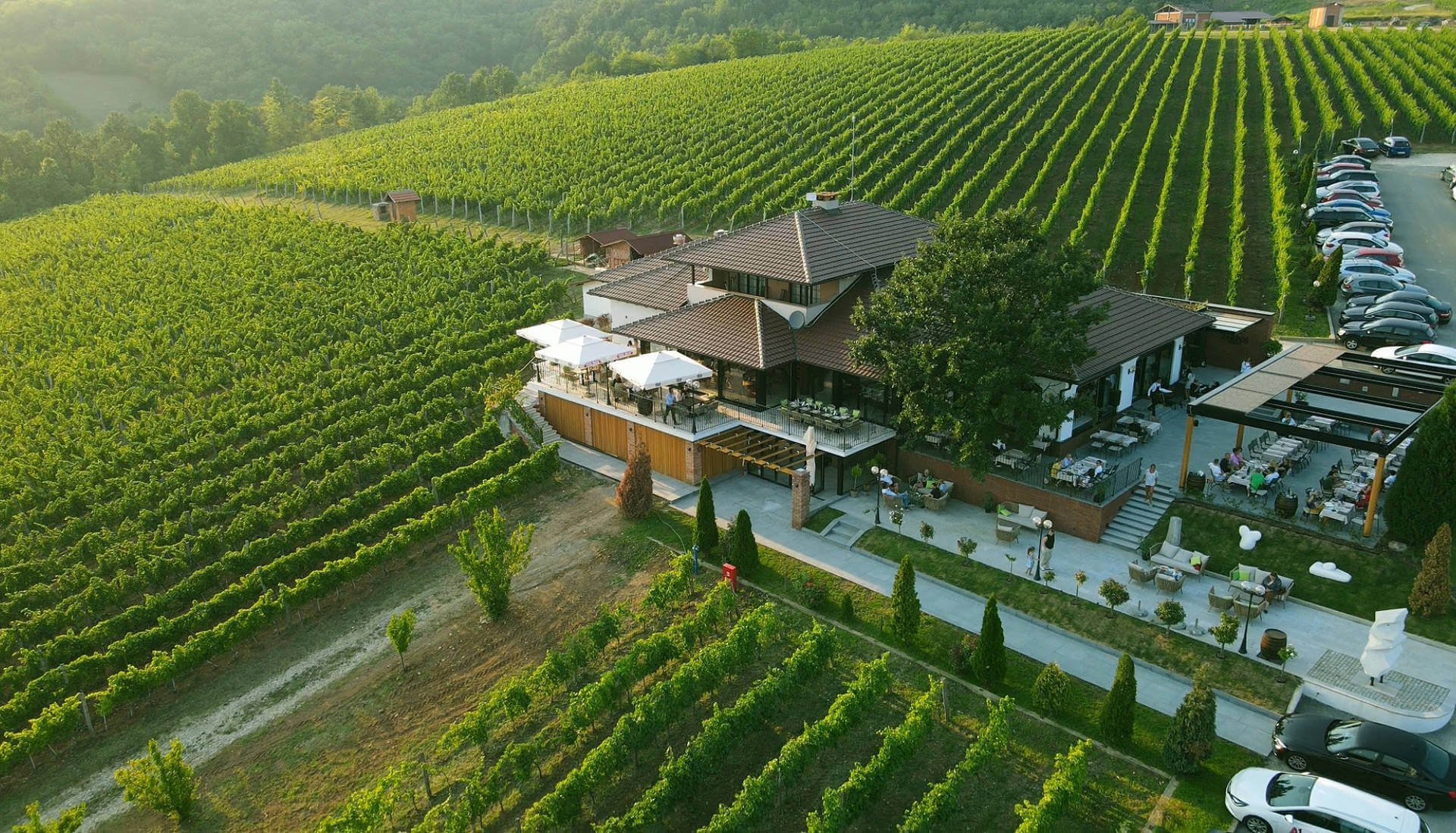 Vinarija Tarpoš