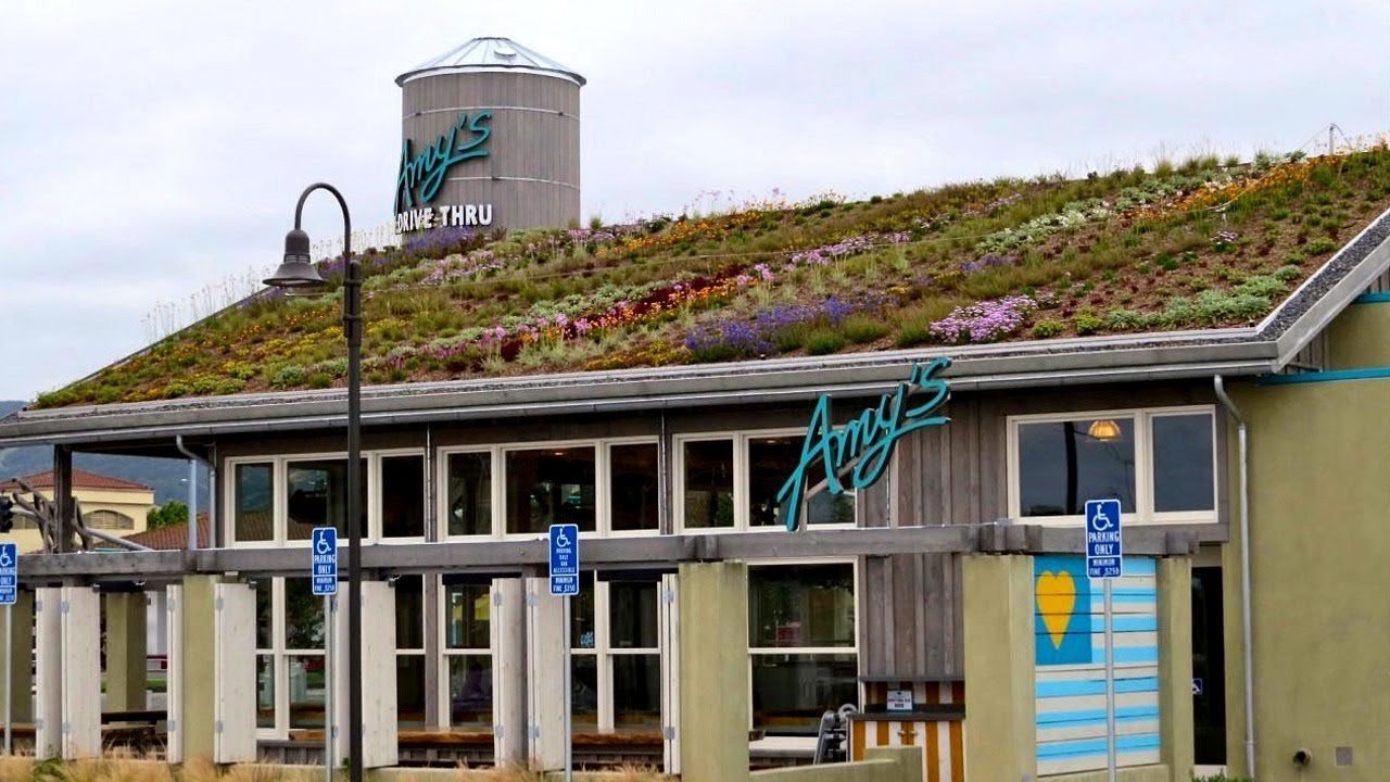 Amy's Drive Thru, Restaurant in Rohnert Park