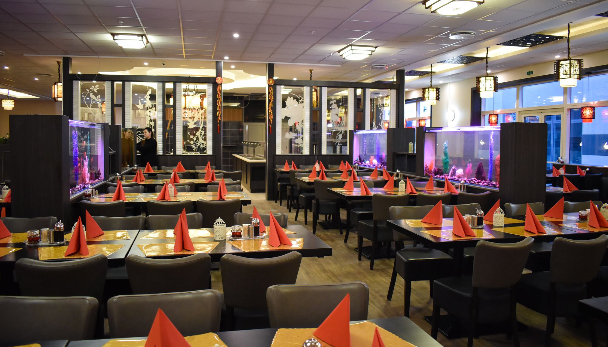 Tian Fu, Restaurant in Aalborg