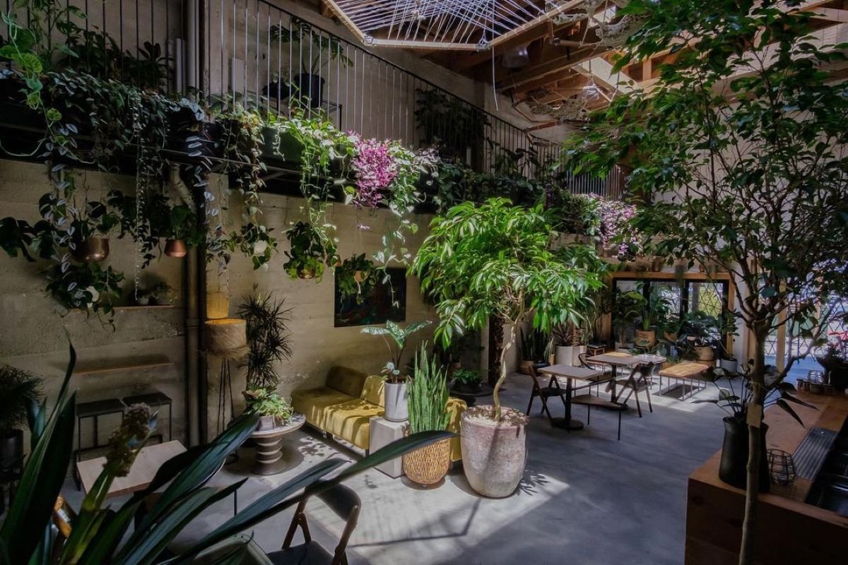 Arcana, San Francisco, United States
