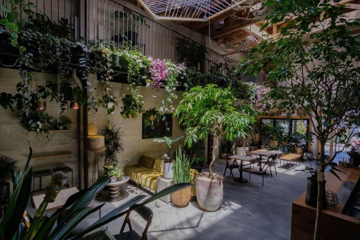 Arcana, Restaurant in San Francisco