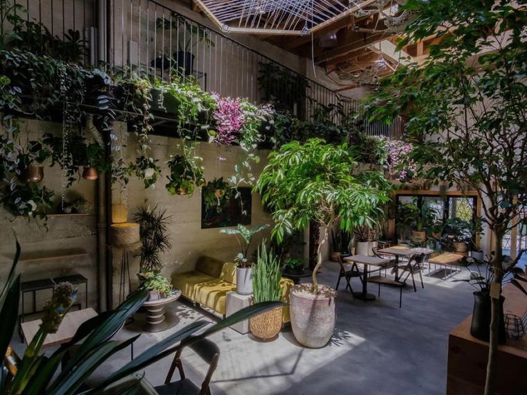 Arcana, San Francisco, United States