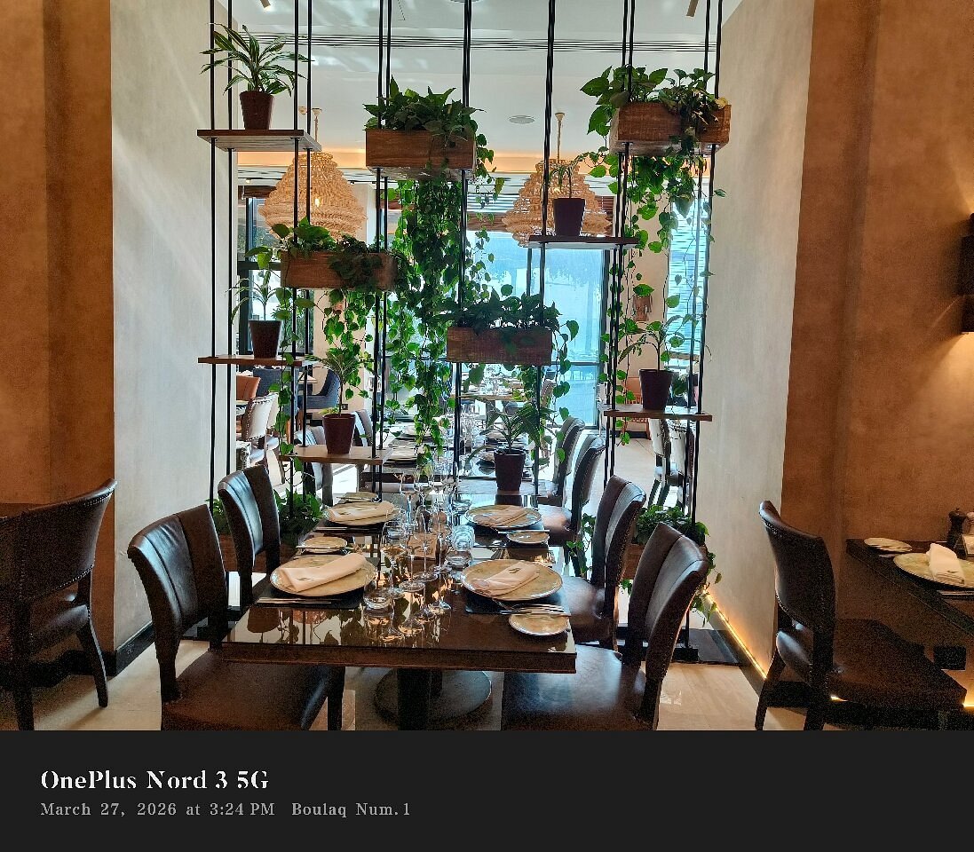 L'ULIVETO restaurant in Cairo