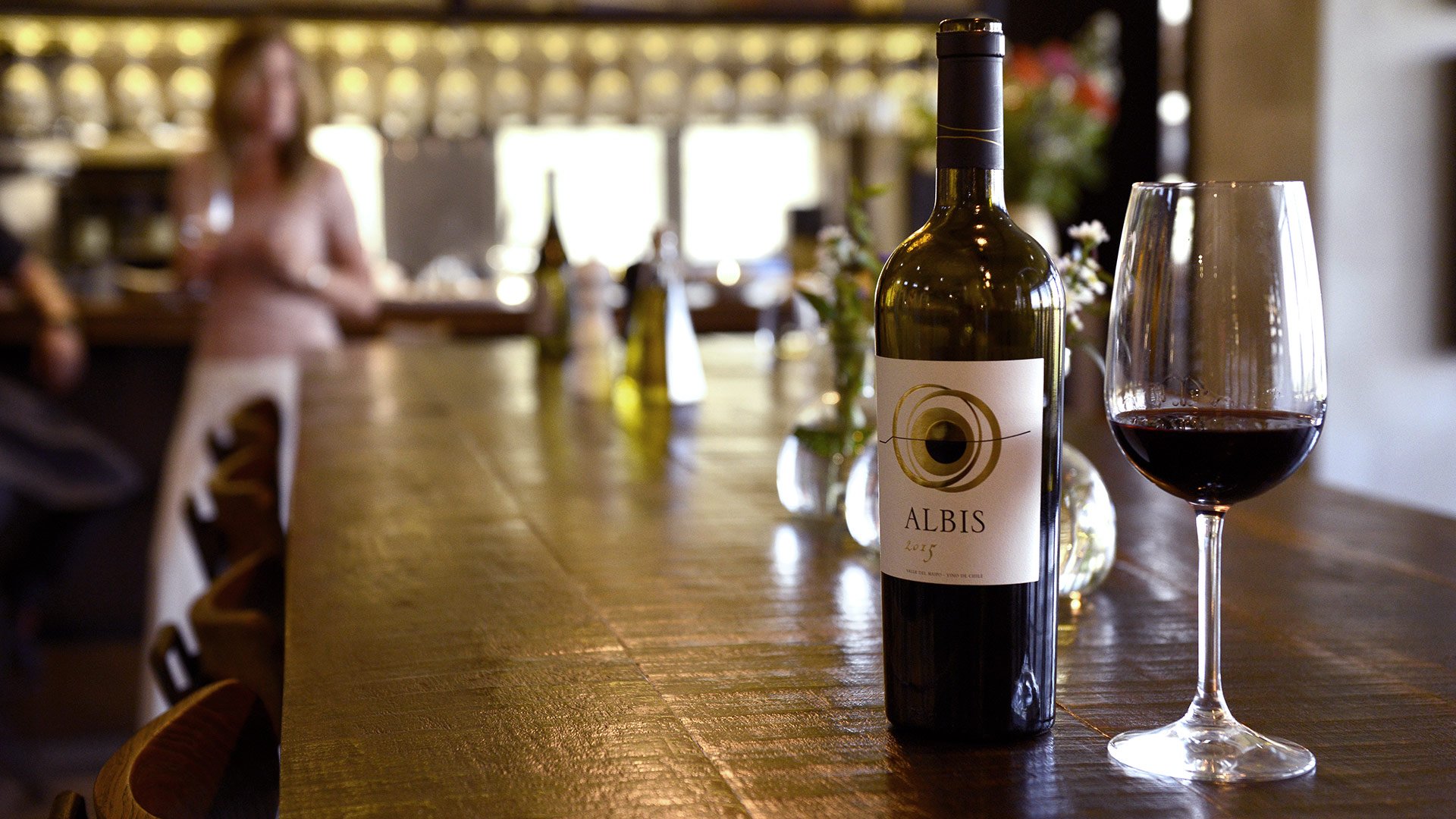 Viña Haras de Pirque restaurant in Pirque, Chile