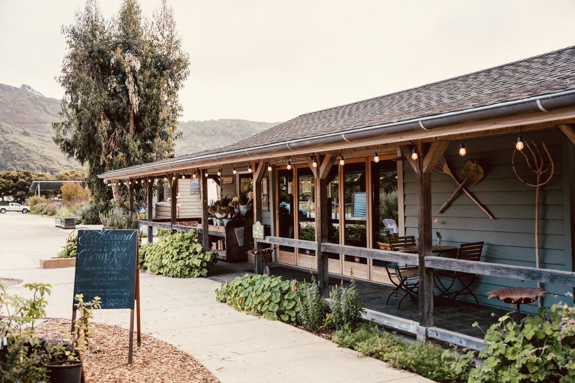 Earthbound Farm Stand