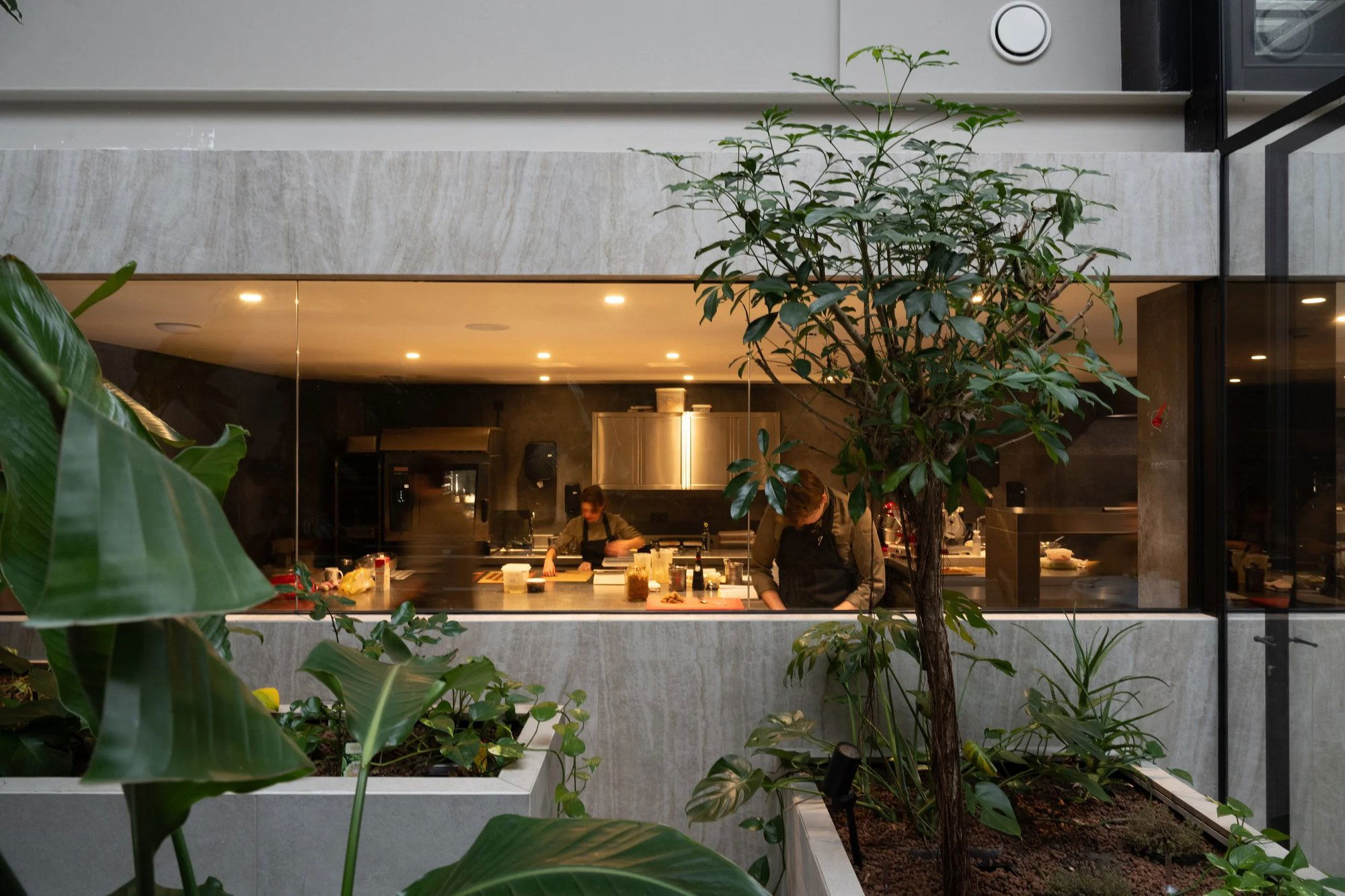 Jerom, Restaurant in Antwerp