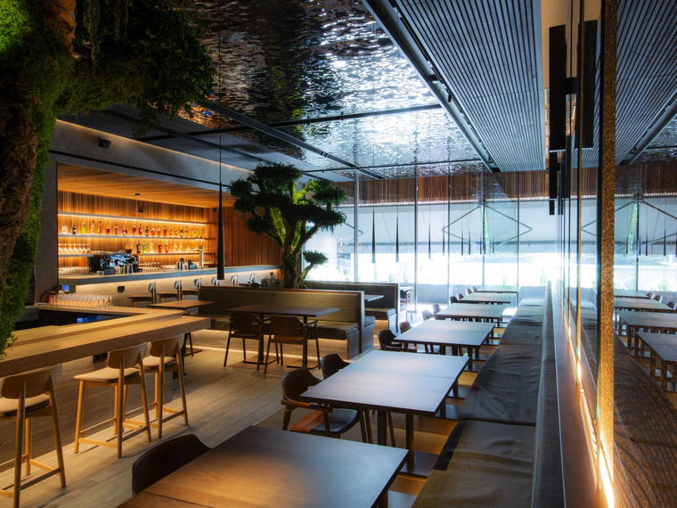 Makoto, Madrid, Spain