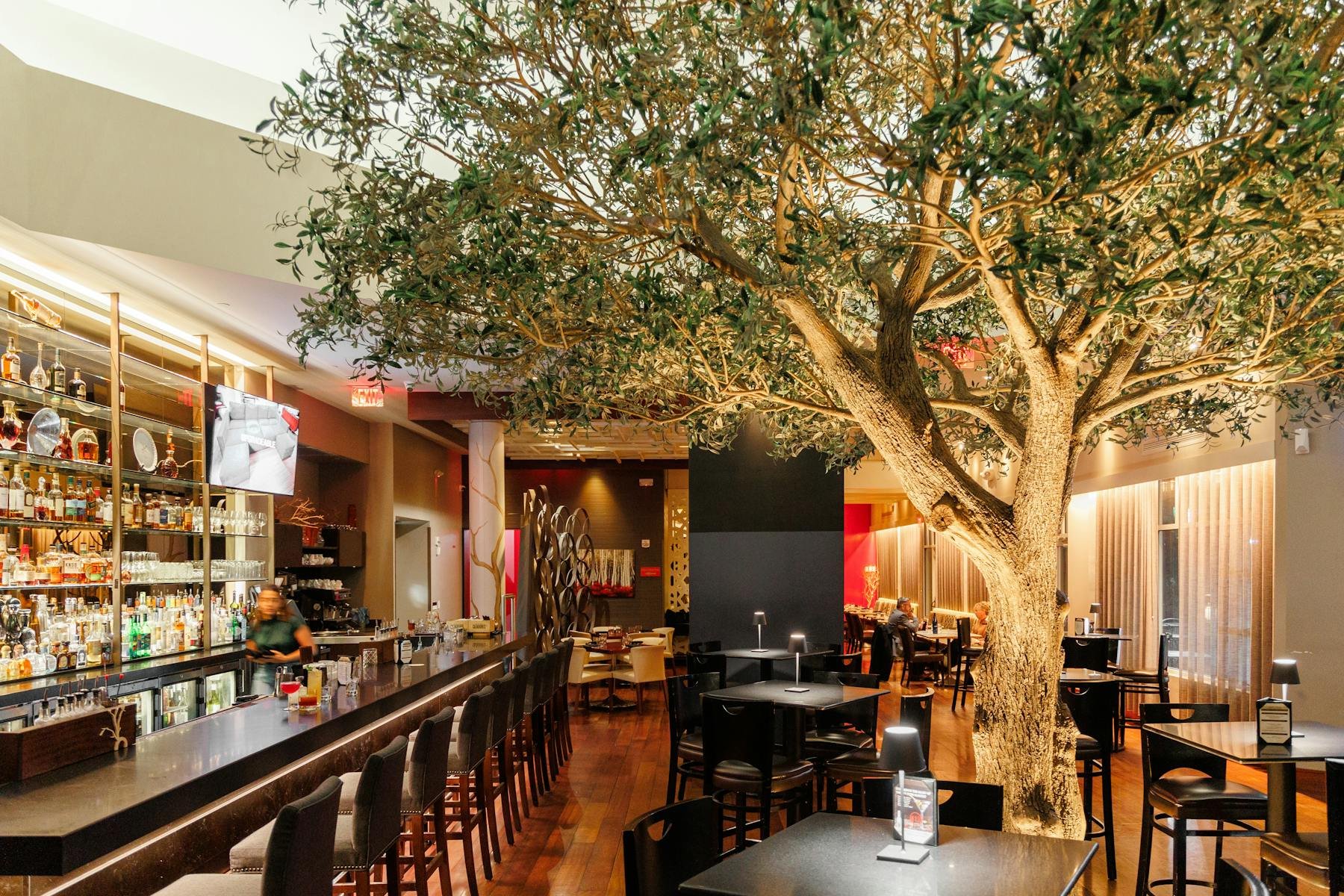 Uproot, Warren, United States
