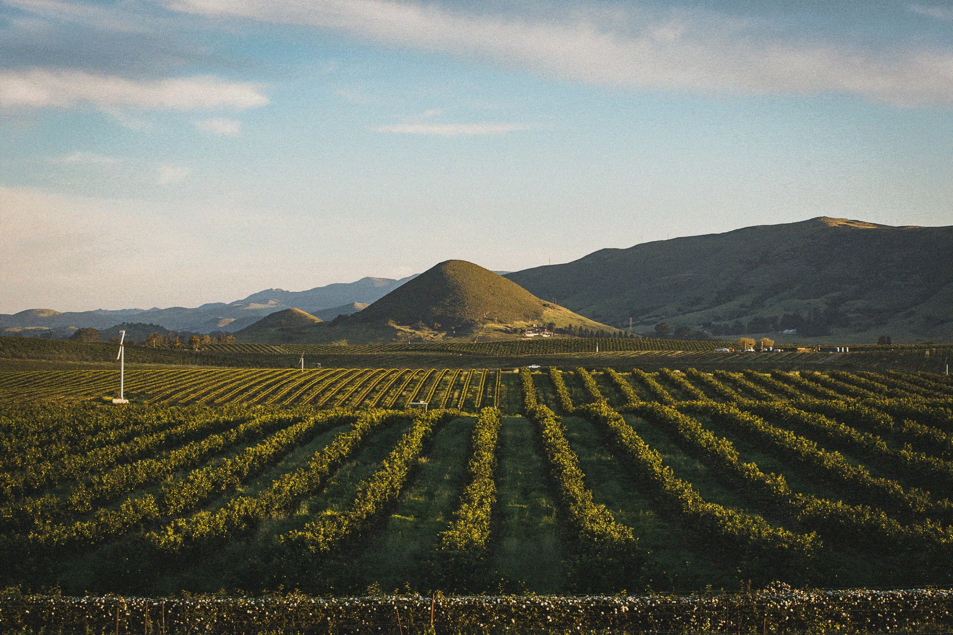Edna restaurant in San Luis Obispo, United States