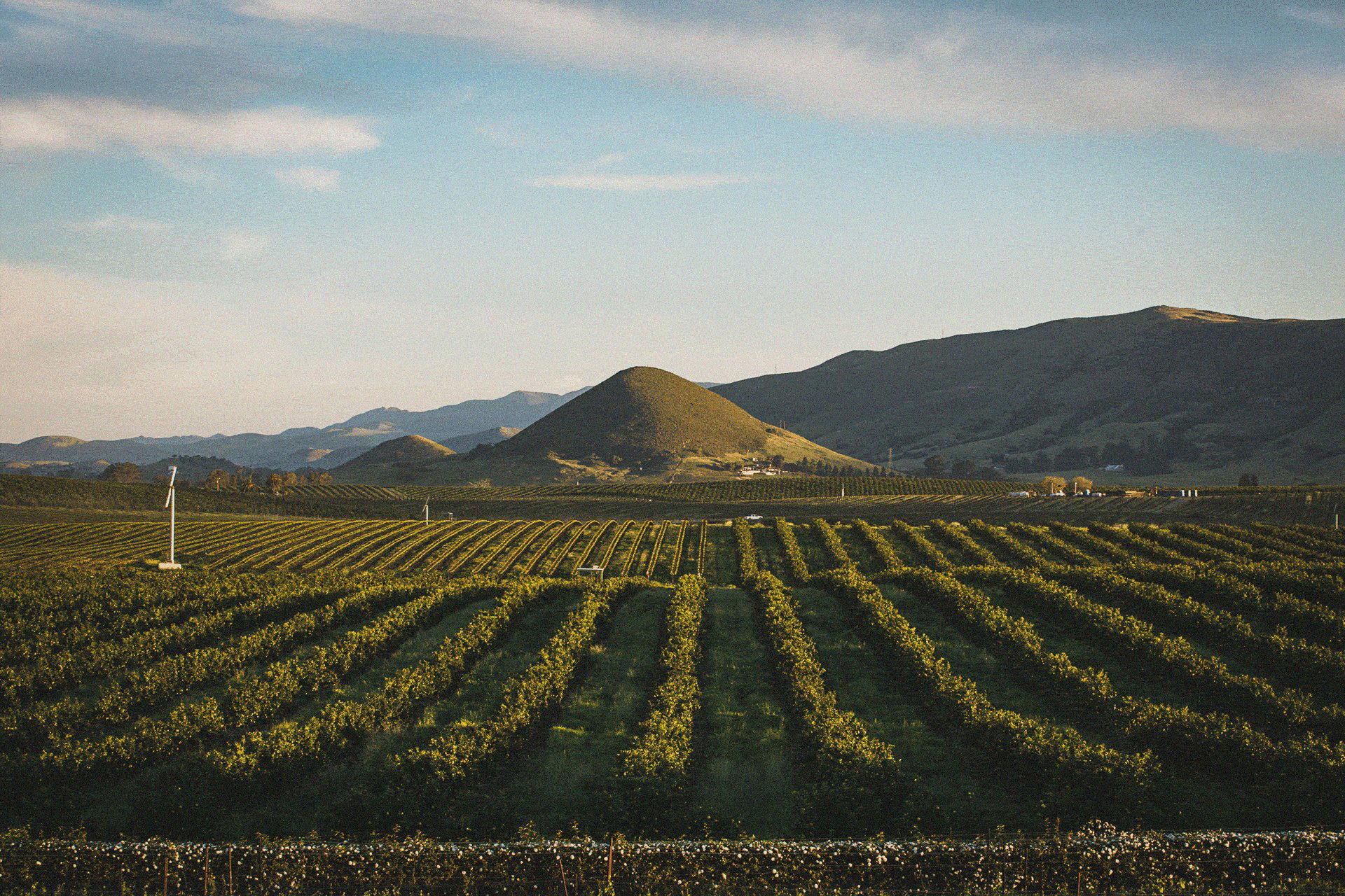 Edna restaurant in San Luis Obispo, United States