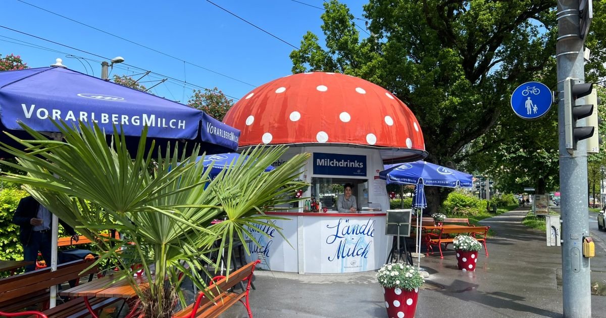 Milchpilz, Bregenz, Austria