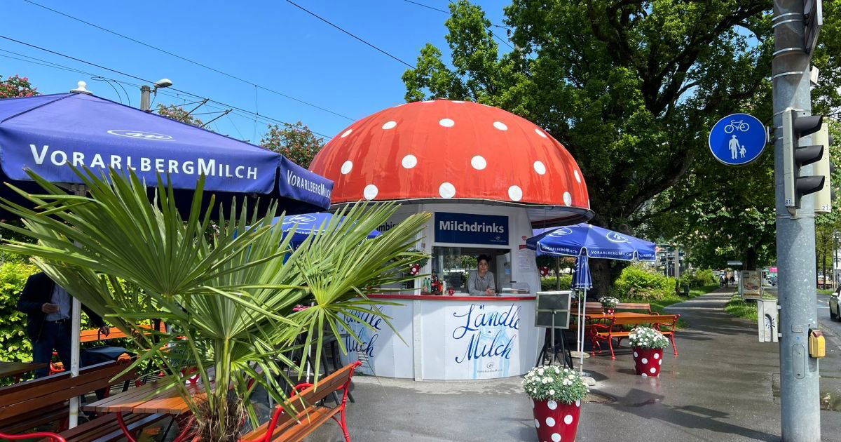 Milchpilz, Restaurant in Bregenz