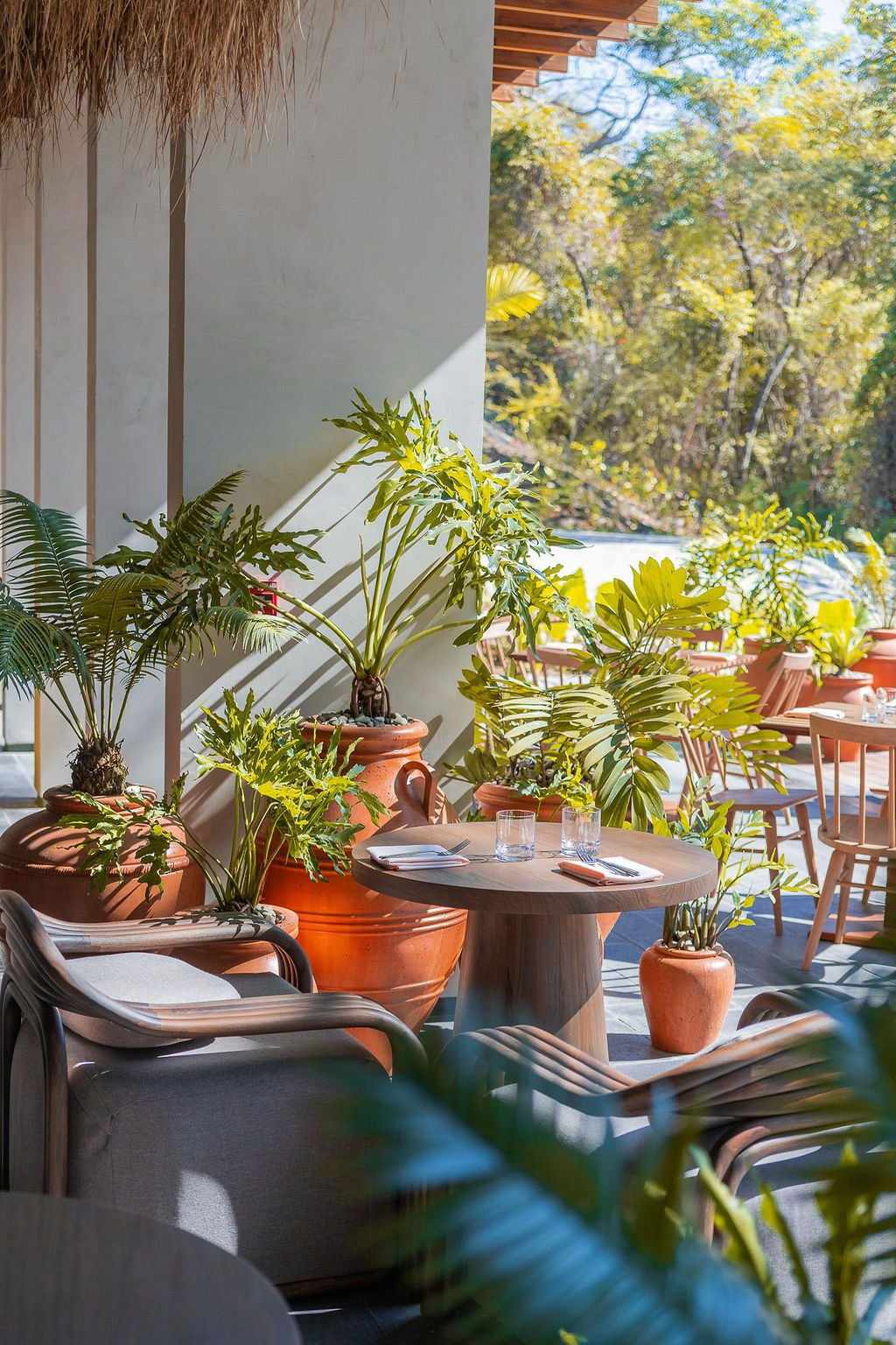 Meso, Restaurant in Guanacaste
