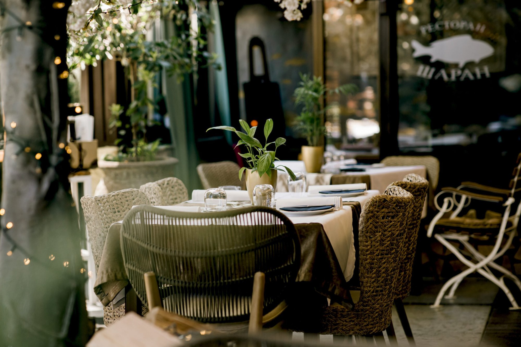 Шаран, Restaurant in Belgrade