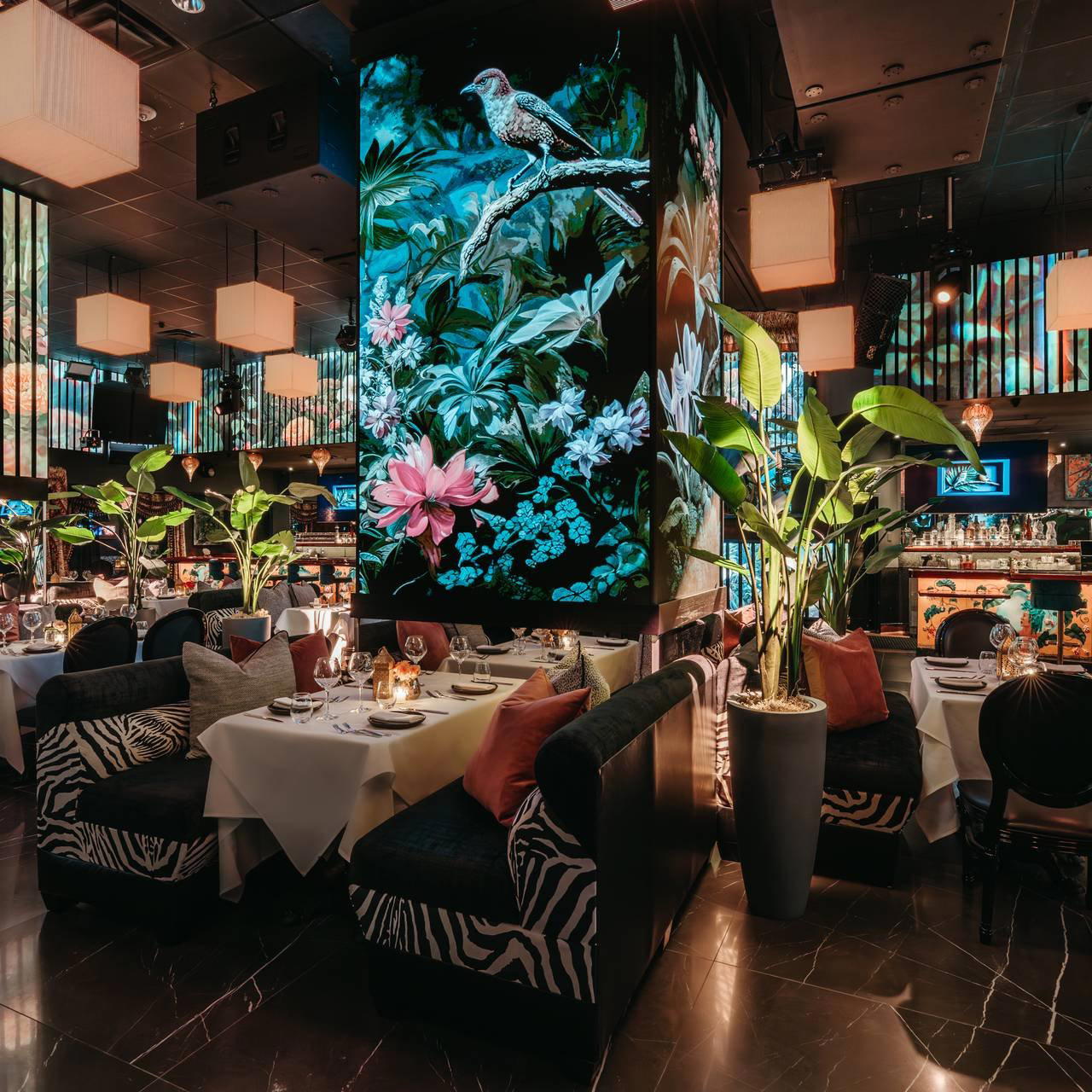 Corazon by Baires restaurant in Orlando, United States